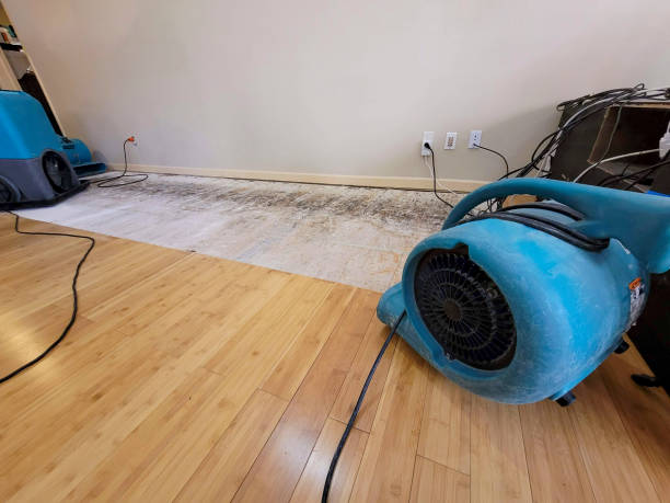 Professional Basement Flood Cleanup technician working in Hansville, WA
